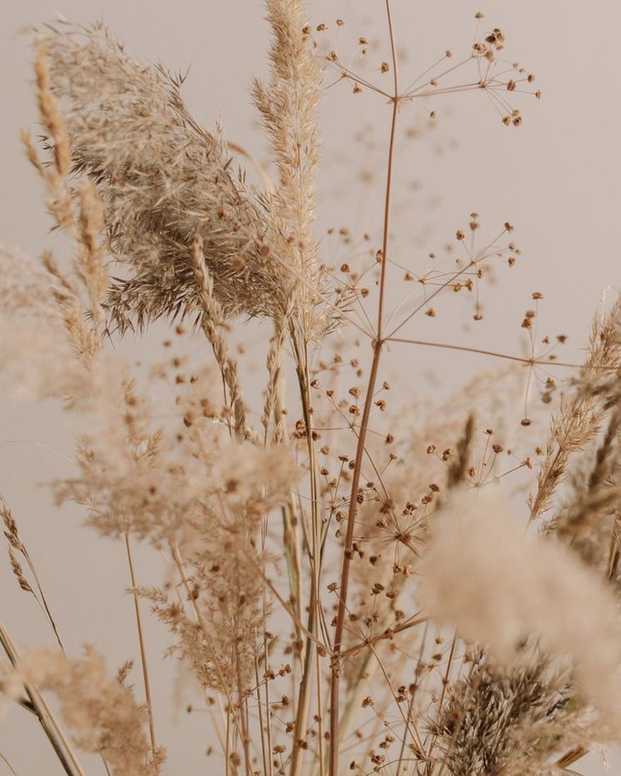 Fiori secchi in stile boho
